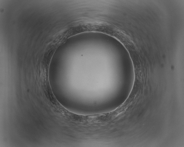 X0000051251061200506171130