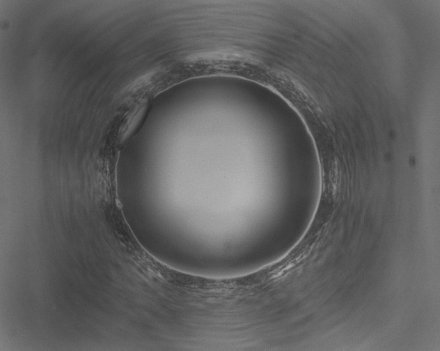 X0000051251062200506171130