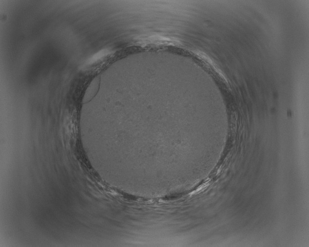 X0000051251063200506171130