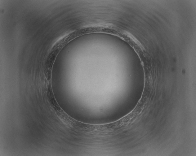 X0000051251064200506171130