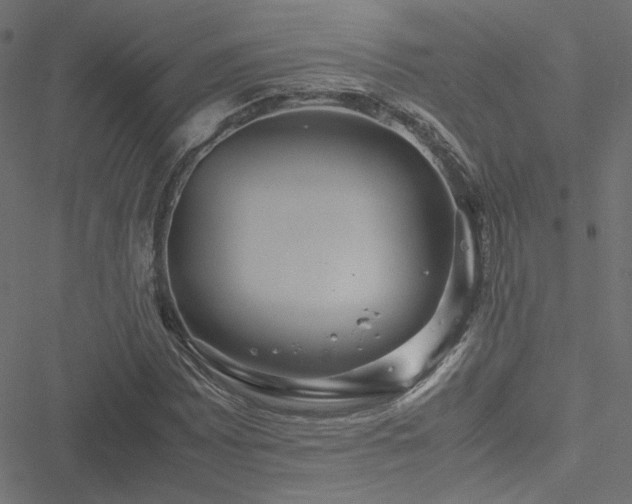 X0000051251065200506171130