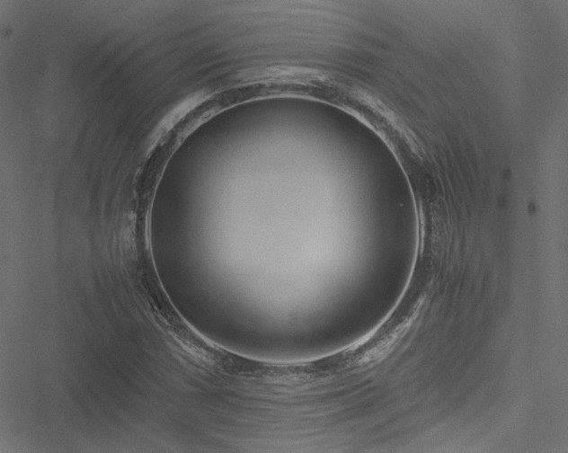 X0000051251066200506171130