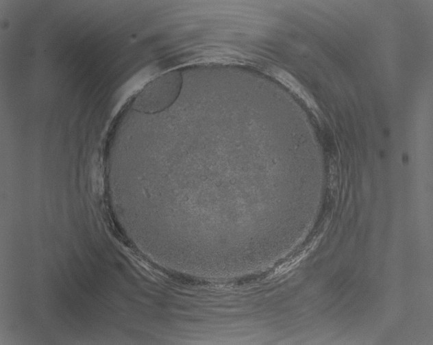 X0000051251067200506171130