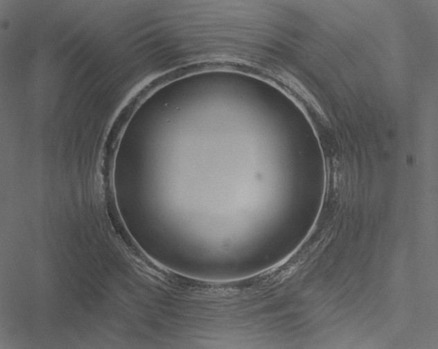 X0000051251068200506171130