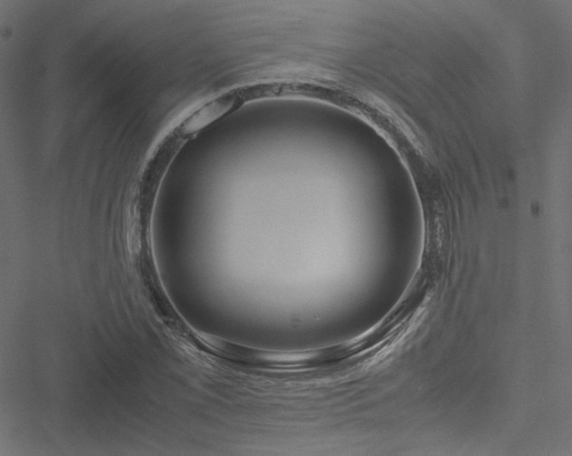 X0000051251069200506171130