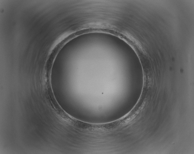 X0000051251070200506171130