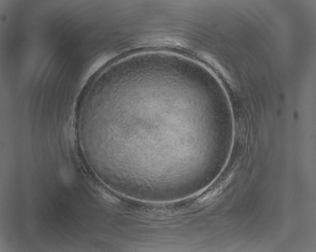 X0000051251071200506171130