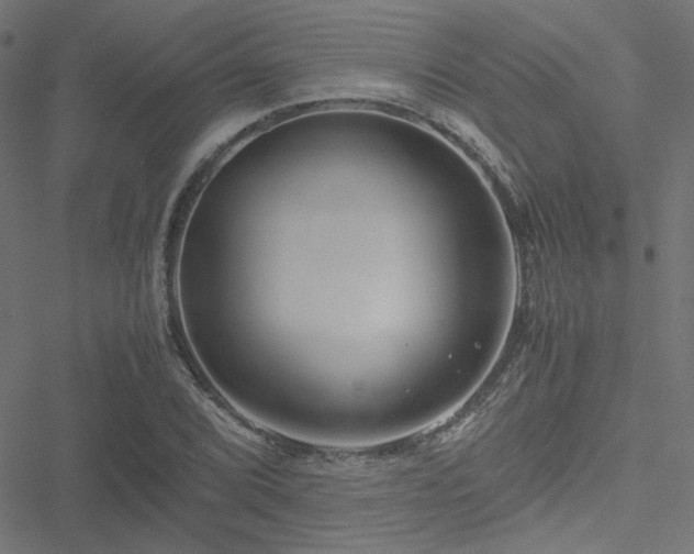 X0000051251072200506171130