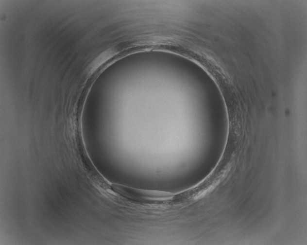 X0000051251073200506171130