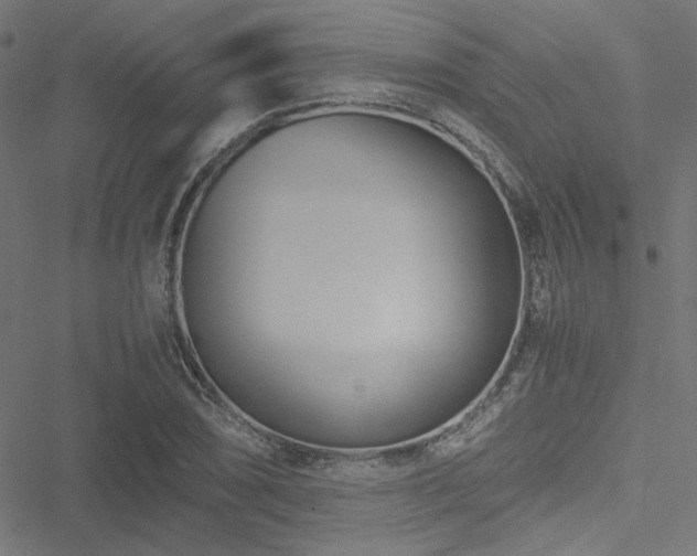 X0000051251074200506171130