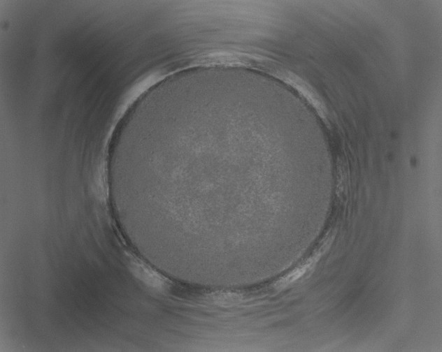 X0000051251075200506171130