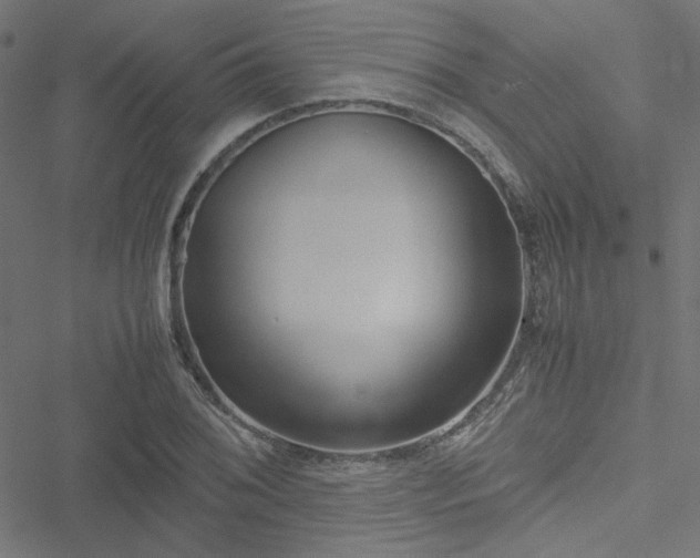 X0000051251076200506171130