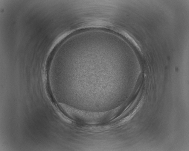 X0000051251077200506171130