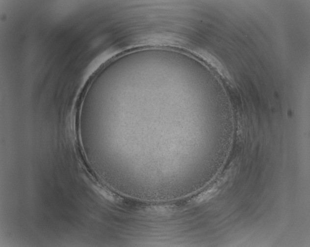 X0000051251078200506171130