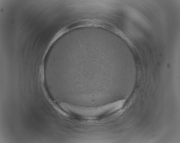 X0000051251079200506171130