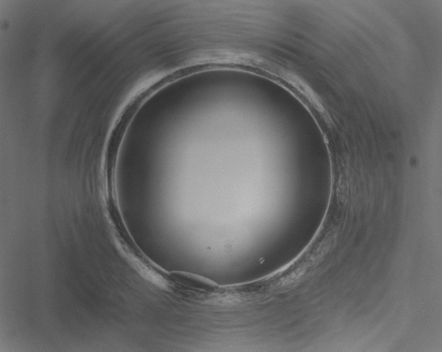 X0000051251080200506171130