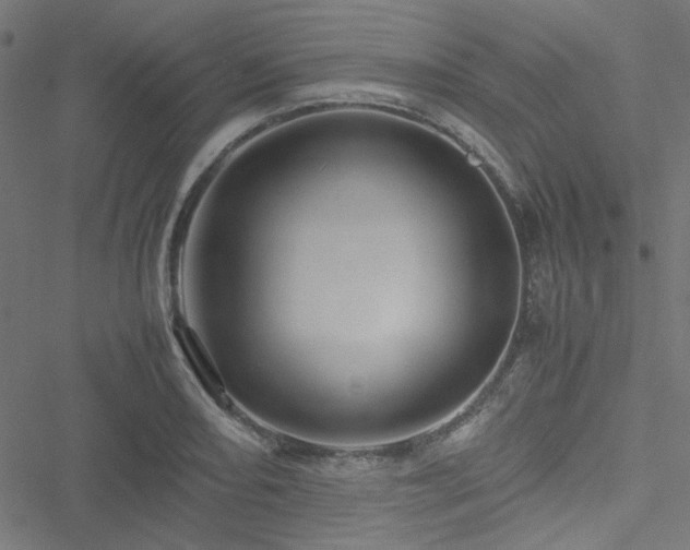 X0000051251082200506171130