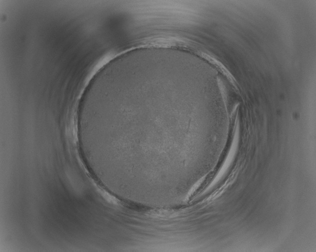 X0000051251083200506171129