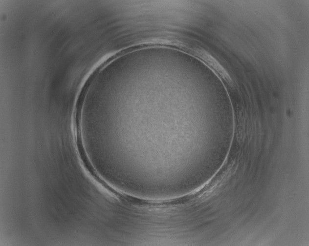 X0000051251084200506171129