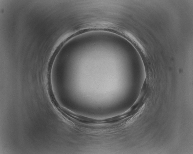 X0000051251085200506171129