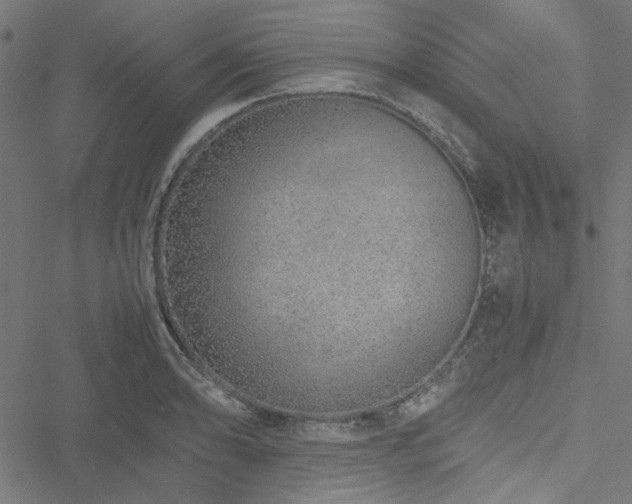 X0000051251086200506171129