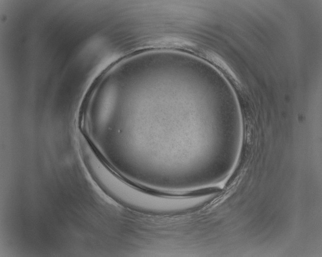 X0000051251087200506171129