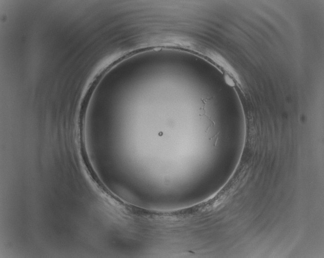 X0000051251088200506171129