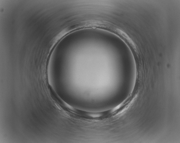 X0000051251089200506171129