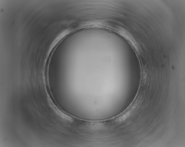 X0000051251090200506171129