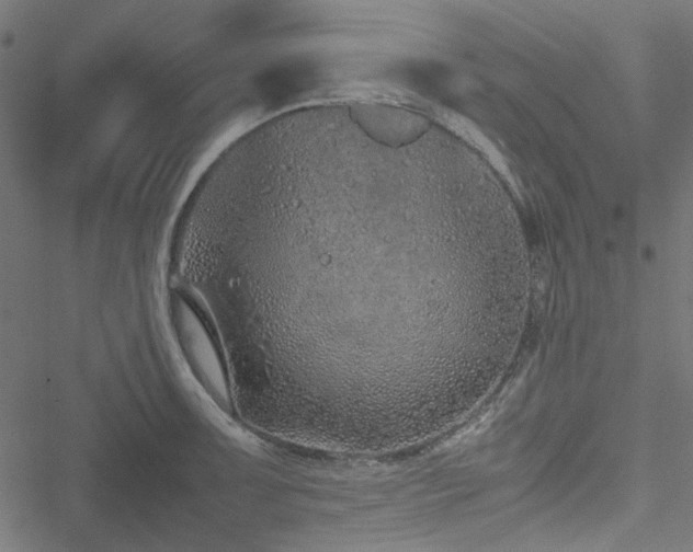 X0000051251091200506171129