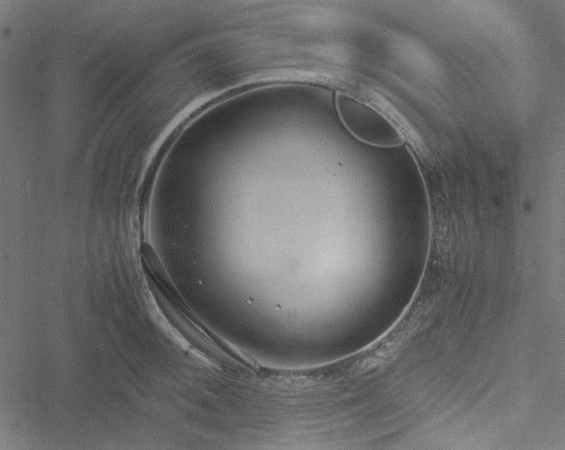 X0000051251092200506171129