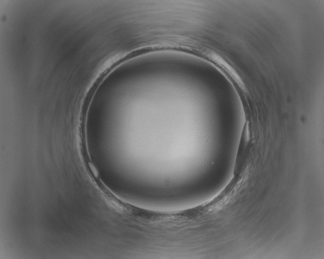 X0000051251093200506171129