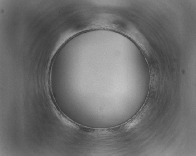 X0000051251094200506171129