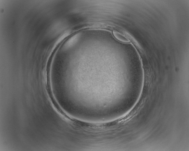 X0000051251095200506171129