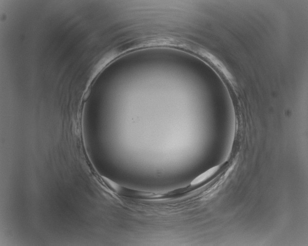 X0000051251097200506171129