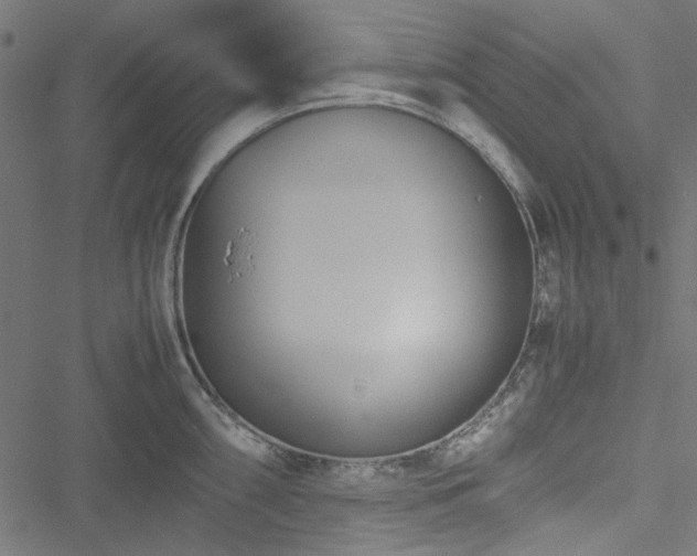 X0000051251098200506171129