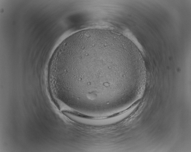 X0000051251099200506171129