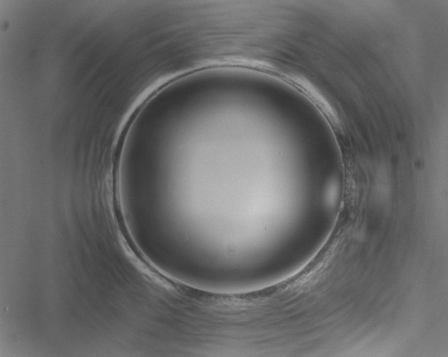 X0000051251100200506171129