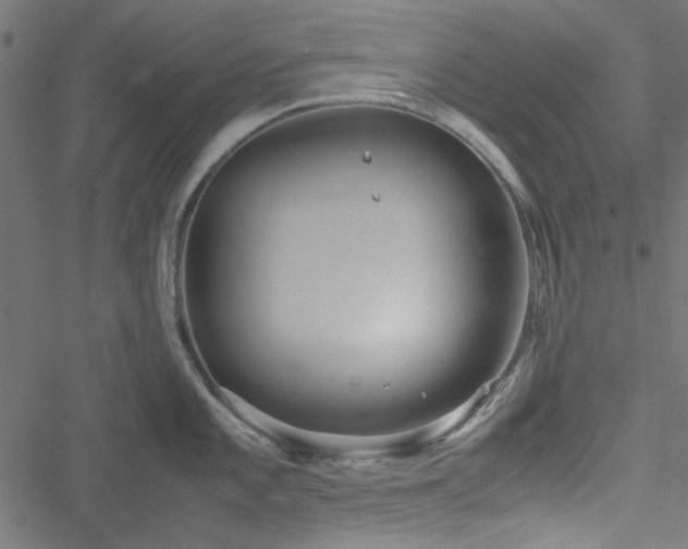 X0000051251101200506171129