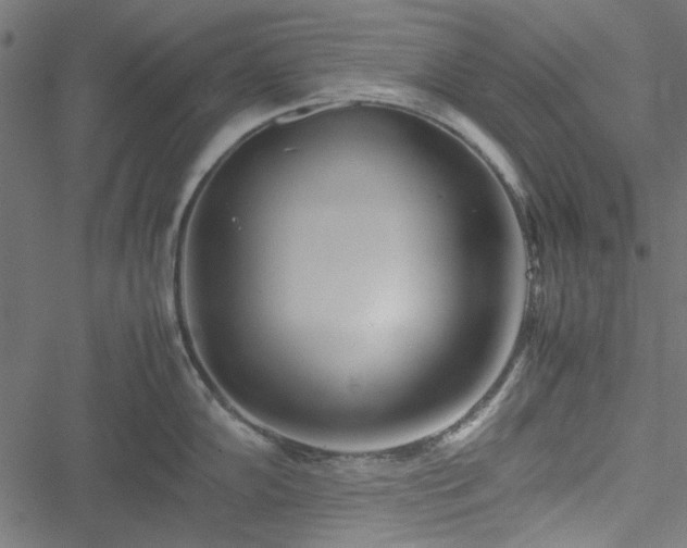 X0000051251102200506171129