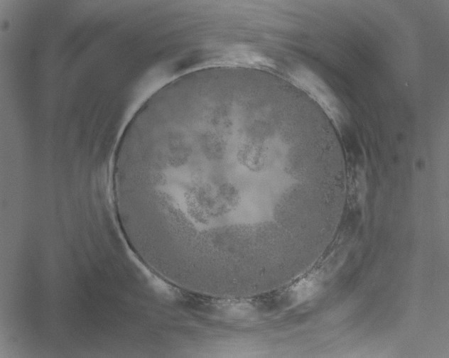 X0000051251103200506171129