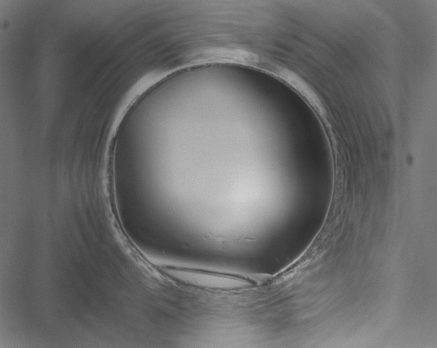 X0000051251104200506171129