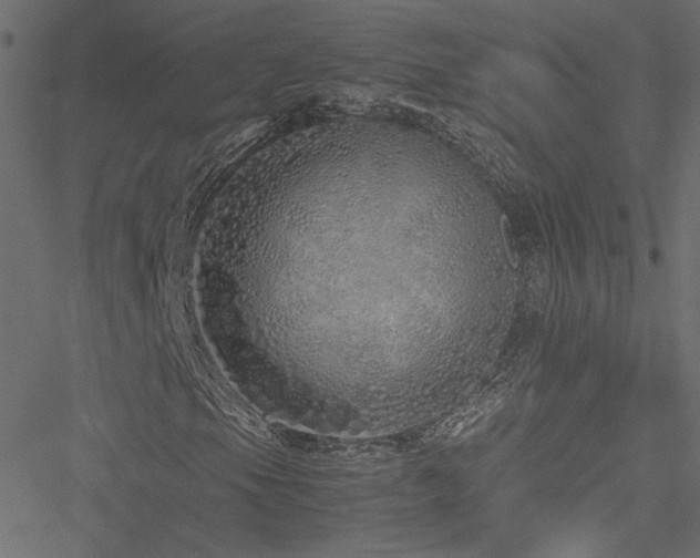 X0000051251105200506171128