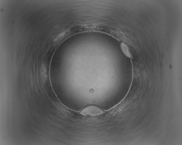 X0000051251106200506171128