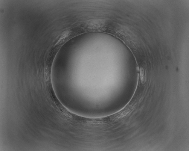 X0000051251107200506171128