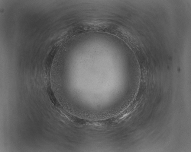 X0000051251109200506171128