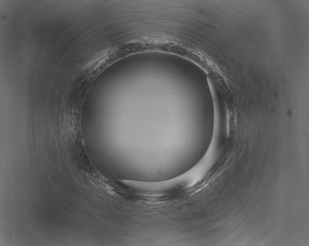 X0000051251110200506171128