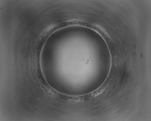 X0000051251111200506171128