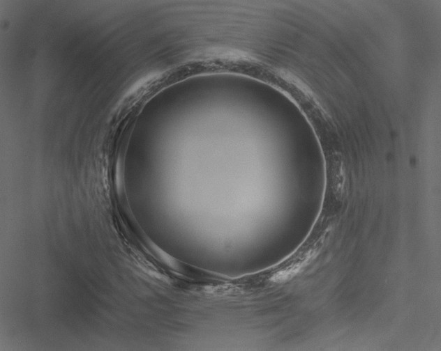 X0000051251112200506171128