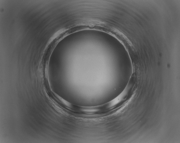 X0000051251114200506171128